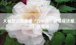 大模型去独角兽“六小龙”做基座还是大厂作领域