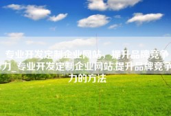专业开发定制企业网站，提升品牌竞争力_专业开发定制企业网站,提升品牌竞争力的方法