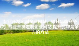 专业开发定制企业网站，提升品牌竞争力_专业开发定制企业网站,提升品牌竞争力的方法