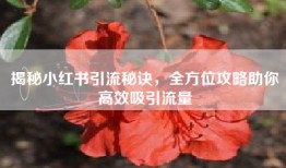 揭秘小红书引流秘诀，全方位攻略助你高效吸引流量
