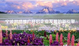 宁波网络推广开启企业发展的新引擎