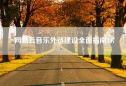 网易云音乐外链建设全面指南147