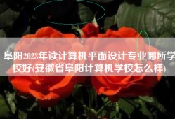 阜阳2023年读计算机平面设计专业哪所学校好(安徽省阜阳计算机学校怎么样)