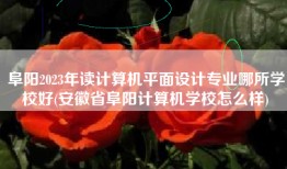 阜阳2023年读计算机平面设计专业哪所学校好(安徽省阜阳计算机学校怎么样)