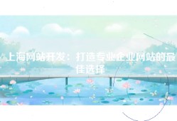 上海网站开发：打造专业企业网站的最佳选择