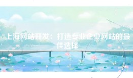 上海网站开发：打造专业企业网站的最佳选择