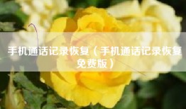 手机通话记录恢复（手机通话记录恢复免费版）