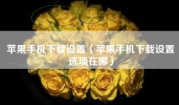 苹果手机下载设置（苹果手机下载设置选项在哪）