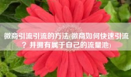 微商引流引流的方法(微商如何快速引流？并拥有属于自己的流量池)