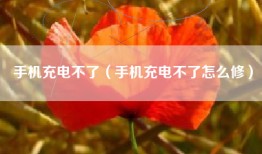 手机充电不了（手机充电不了怎么修）