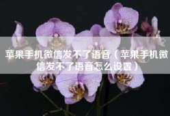 苹果手机微信发不了语音（苹果手机微信发不了语音怎么设置）