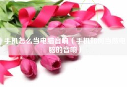 手机怎么当电脑音响（手机如何当做电脑的音响）