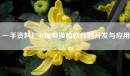 一手资料！AI视频换脸软件的开发与应用