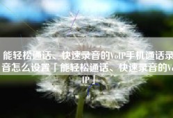 能轻松通话、快速录音的VoIP手机通话录音怎么设置「能轻松通话、快速录音的VoIP」