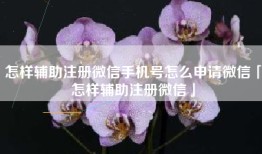 怎样辅助注册微信手机号怎么申请微信「怎样辅助注册微信」