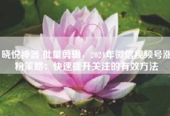 晓悦神器 批量剪辑，2024年微信视频号涨粉策略：快速提升关注的有效方法