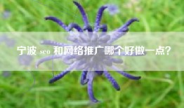 宁波 seo 和网络推广哪个好做一点？