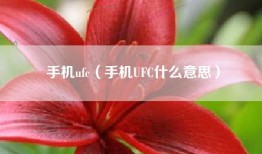 手机ufc（手机UFC什么意思）