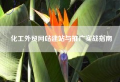 化工外贸网站建站与推广实战指南