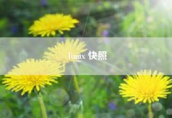 linux 快照