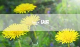 linux 快照