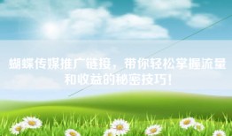 蝴蝶传媒推广链接，带你轻松掌握流量和收益的秘密技巧！