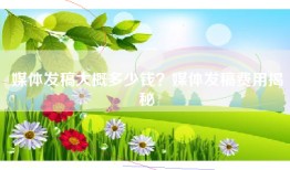 媒体发稿大概多少钱？媒体发稿费用揭秘