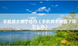 手机掉水里了咋办（手机掉水里面了该怎么办）