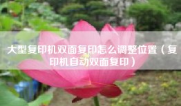 大型复印机双面复印怎么调整位置（复印机自动双面复印）
