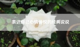 表达自己心情愉悦的经典说说