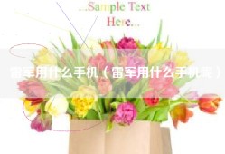 雷军用什么手机（雷军用什么手机呢）