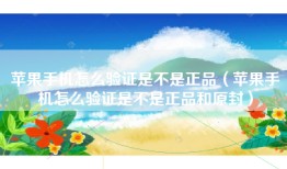 苹果手机怎么验证是不是正品（苹果手机怎么验证是不是正品和原封）