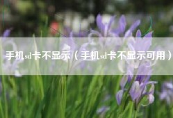 手机sd卡不显示（手机sd卡不显示可用）
