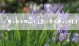 手机sd卡不显示（手机sd卡不显示可用）