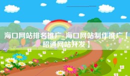 海口网站排名推广_海口网站制作推广【昭通网站开发】