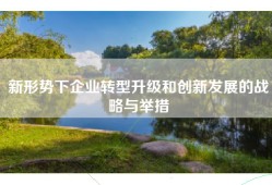 新形势下企业转型升级和创新发展的战略与举措