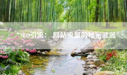 “SEO引流： 网站流量的秘密武器”