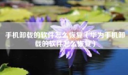手机卸载的软件怎么恢复（华为手机卸载的软件怎么恢复）