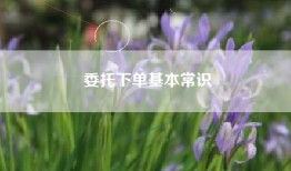 委托下单基本常识