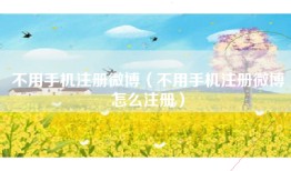 不用手机注册微博（不用手机注册微博怎么注册）