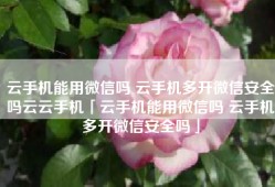 云手机能用微信吗 云手机多开微信安全吗云云手机「云手机能用微信吗 云手机多开微信安全吗」