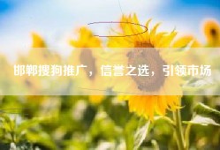 邯郸搜狗推广，信誉之选，引领市场