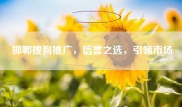 邯郸搜狗推广，信誉之选，引领市场