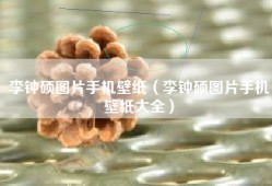 李钟硕图片手机壁纸（李钟硕图片手机壁纸大全）