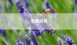 至尊剑帝