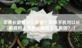 苹果长截屏怎么截图？苹果手机可以长截屏吗「苹果长截屏怎么截图？」