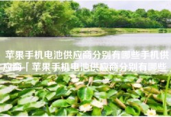 苹果手机电池供应商分别有哪些手机供应商「苹果手机电池供应商分别有哪些」