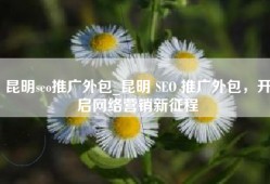 昆明seo推广外包_昆明 SEO 推广外包，开启网络营销新征程