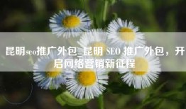 昆明seo推广外包_昆明 SEO 推广外包，开启网络营销新征程