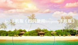 foxy手机版（如何使用foxyproxy手机版）